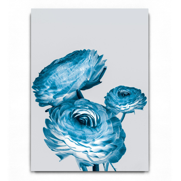 Infrared Flowers [3]