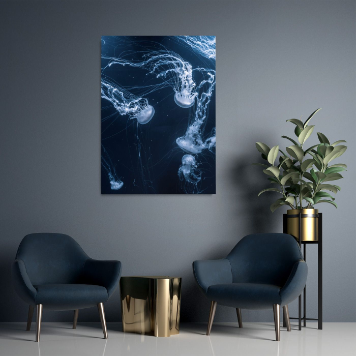 Jelly Fish Portrait [2]