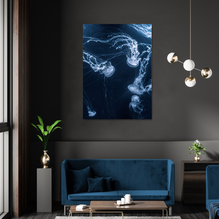 Jelly Fish Portrait [1]