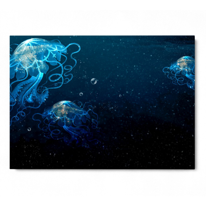 Jellyfish Party Landscape [3]