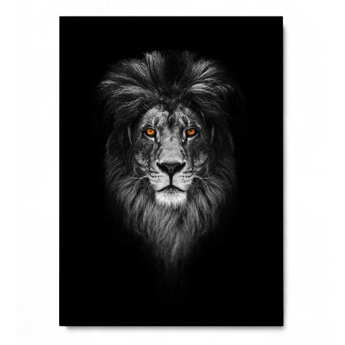 Lion Burning Eyes Portrait [3]