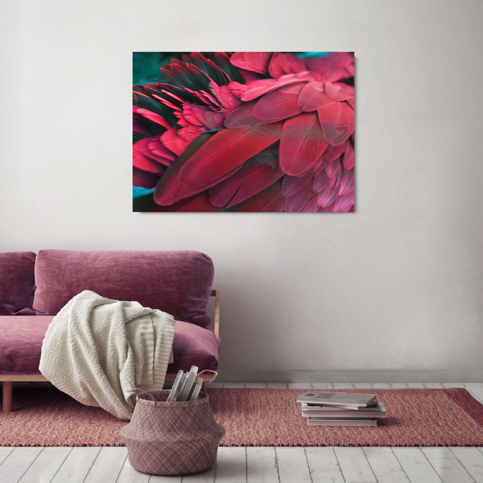 Parrot Close Up Landscape [1]