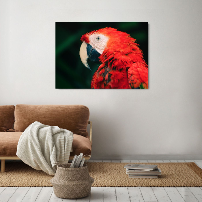 Parrot Landscape [2]