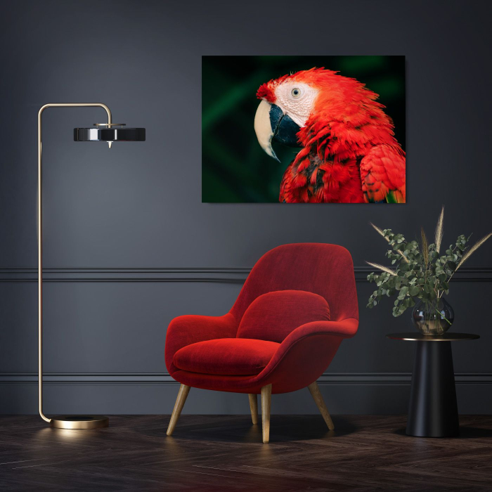 Parrot Landscape [1]