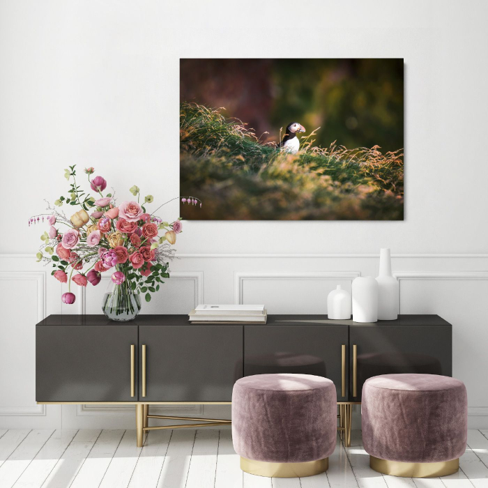 Puffin Landscape [1]