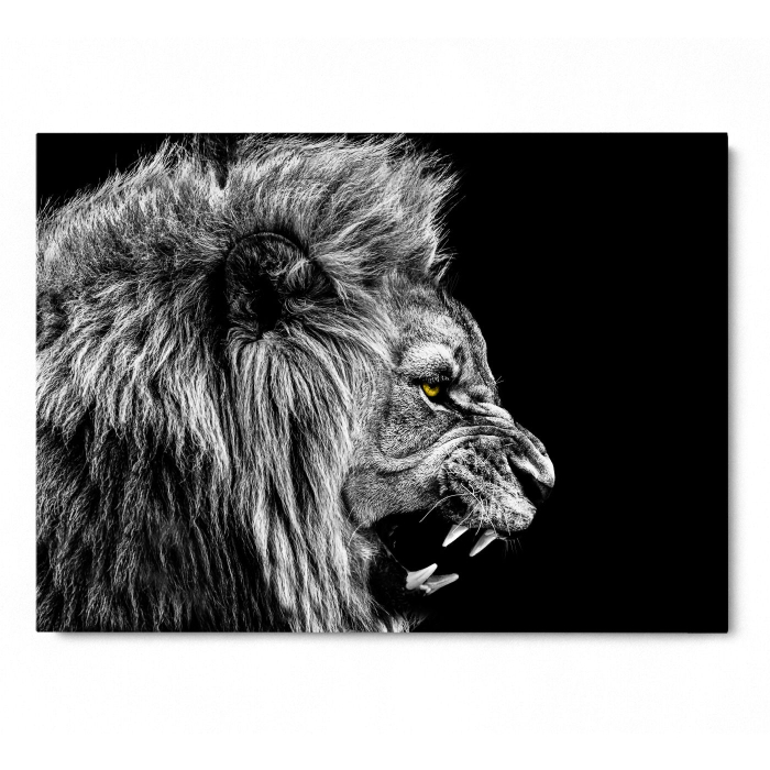 Roaring Lion Landscape [3]