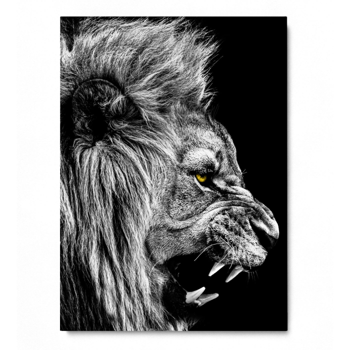 Roaring Lion Portrait [3]