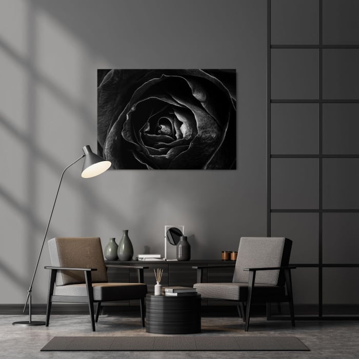 Rose on focus B&W [1]