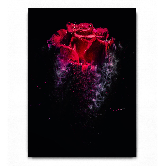 Rose sandstorm Red [2]