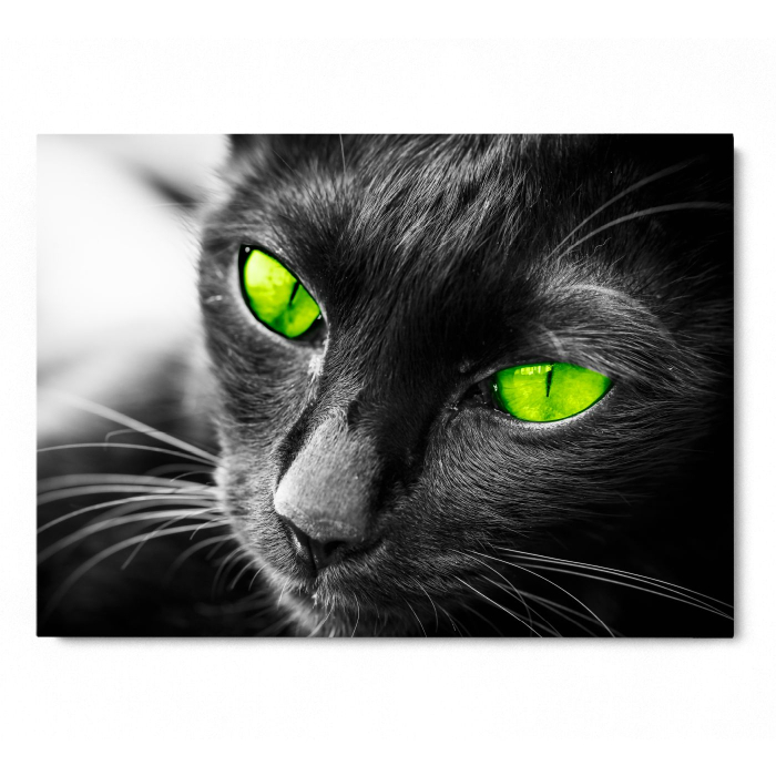 Sharp Eyes Landscape [3]