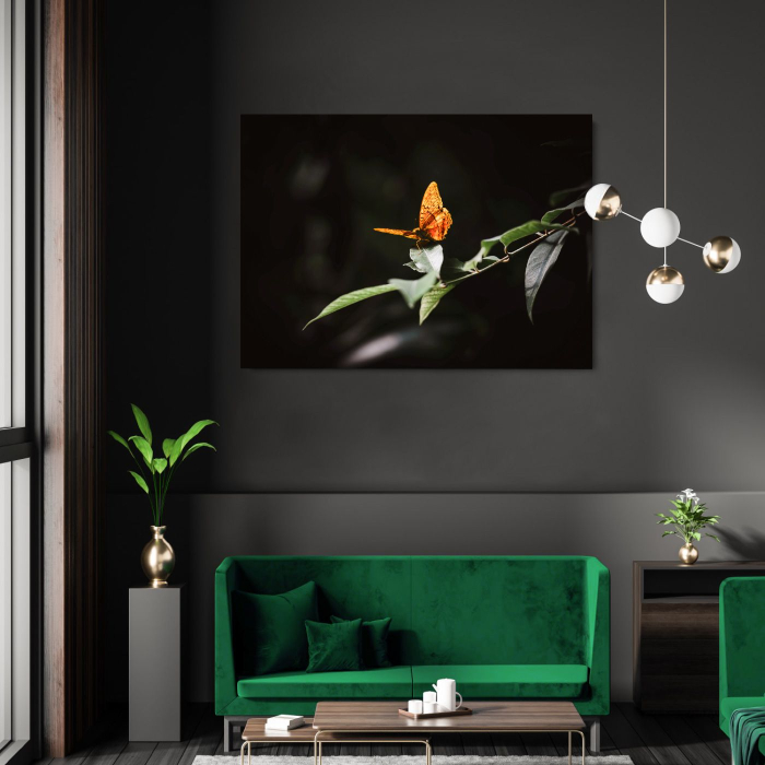 Take off Landscape [1]