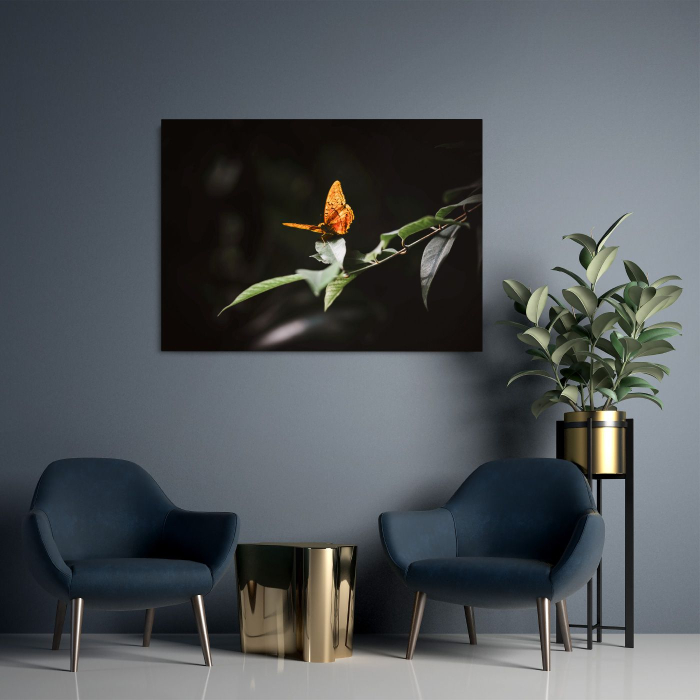 Take off Landscape [2]