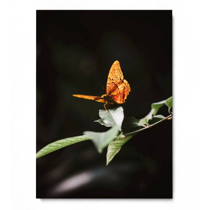 Take off Portrait [3]