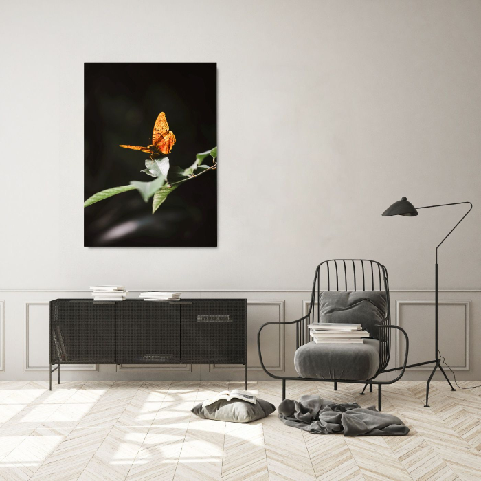 Take off Portrait [1]