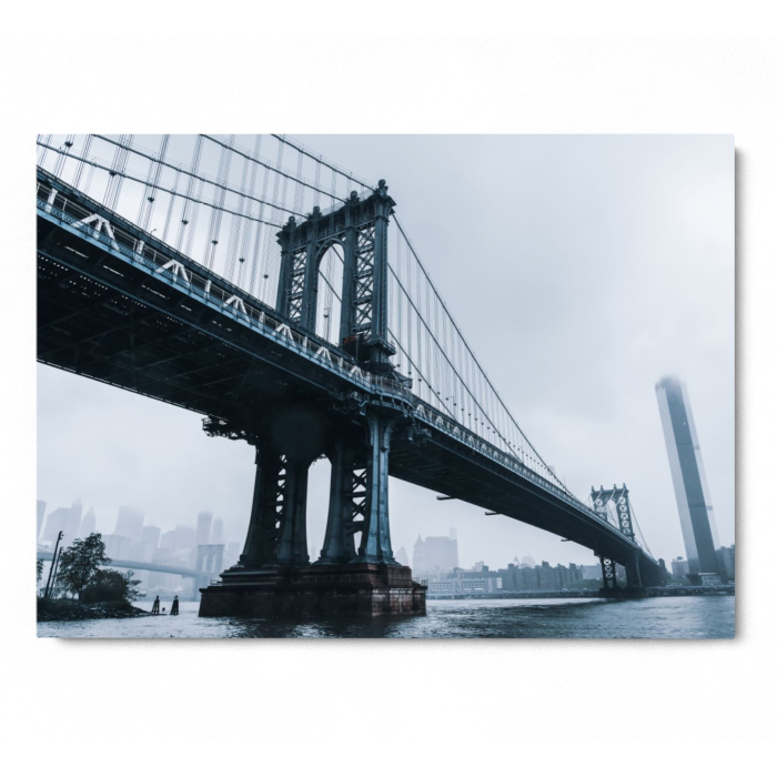 The Manhattan Bridge in New York City [3]