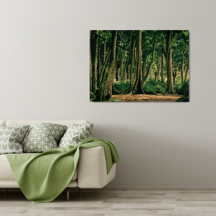 Tropical Forest India [1]