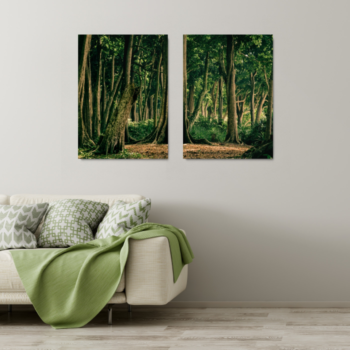 Tropical Forest India [1]