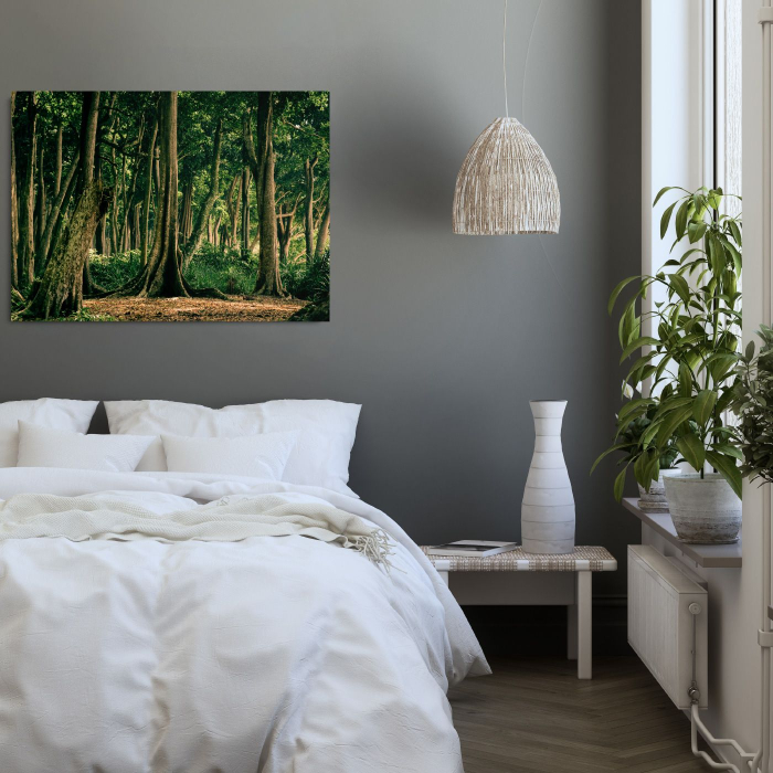 Tropical Forest India [2]