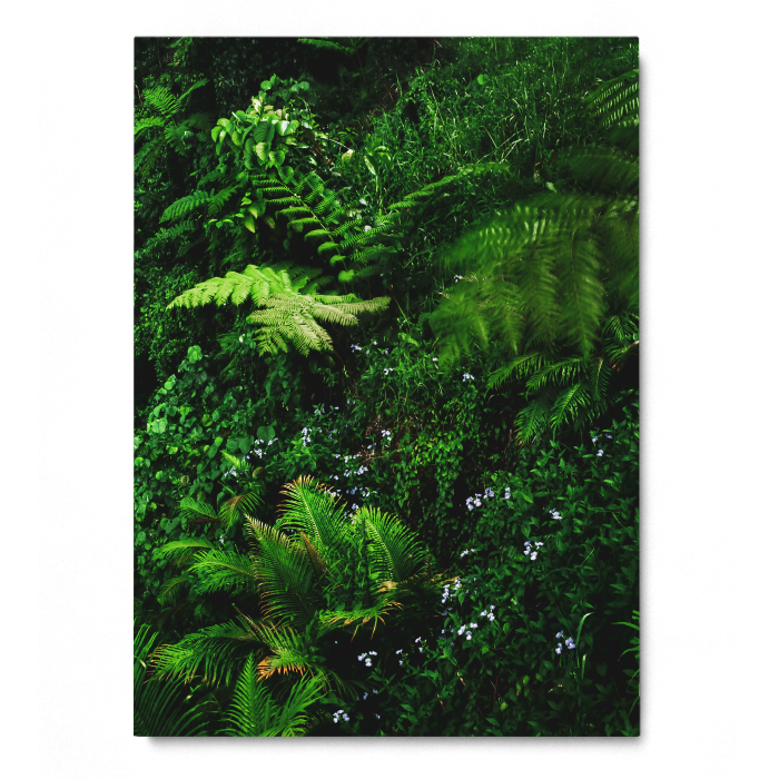 Waterfall in Samoa [4]