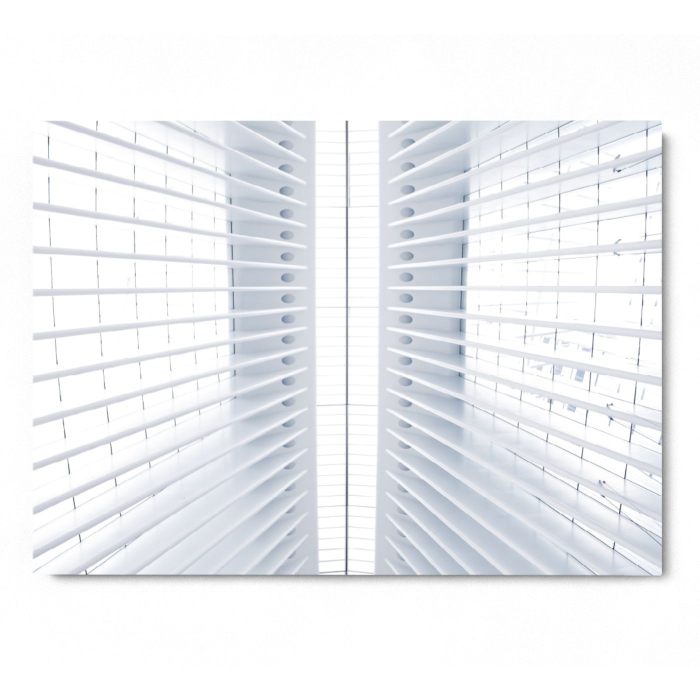 White Ribs in the Ceiling [3]