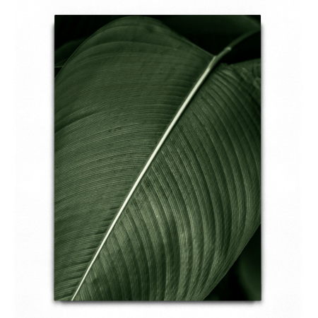 Abstract Leaves 01 [2]