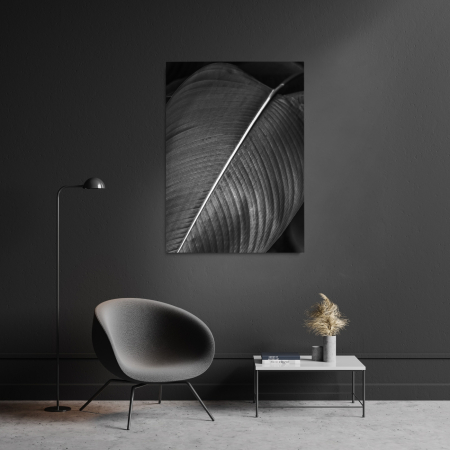 Flowers - Abstract Leaves 01 B&W