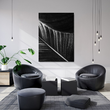 Flowers - Abstract Leaves 02 B&W