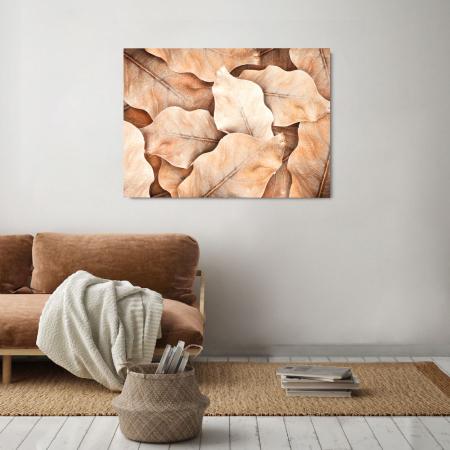 Flowers - Barren Leaves