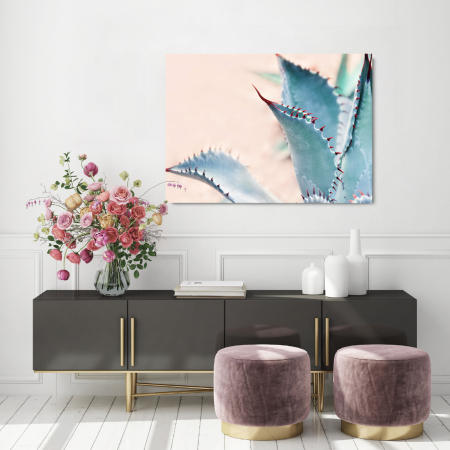 Flowers - Cactus Defence