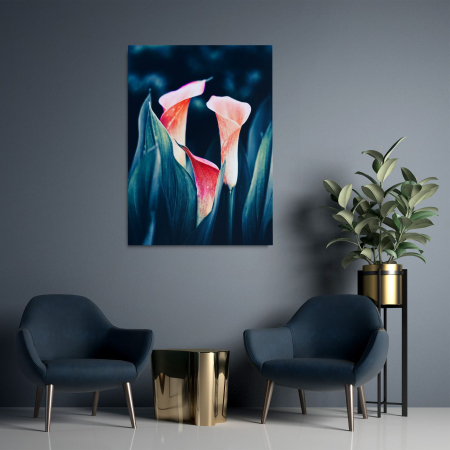 Callas Cinematic [1]