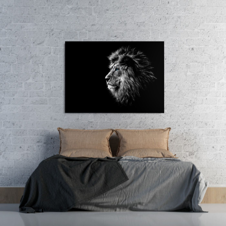 Calm Lion Landscape [1]