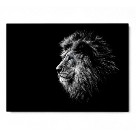 Calm Lion Landscape [2]