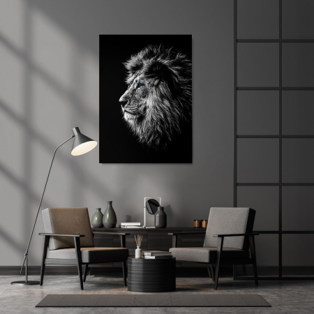 Animals - Calm Lion Portrait