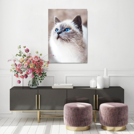 Cat Elegance Portrait [1]