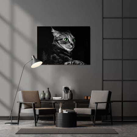 Cat Sense Landscape [1]