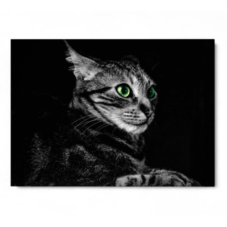 Cat Sense Landscape [2]