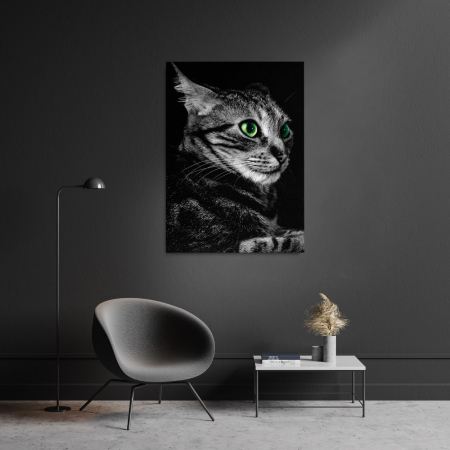 Cat Sense Portrait [1]