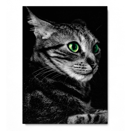 Cat Sense Portrait [2]
