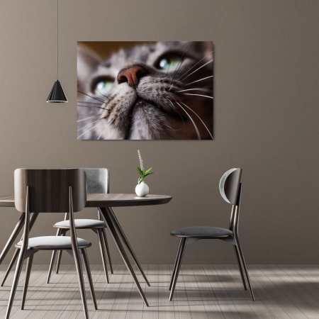 Cat Snout Landscape [1]