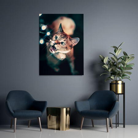 Animals - Curious Cat Portrait