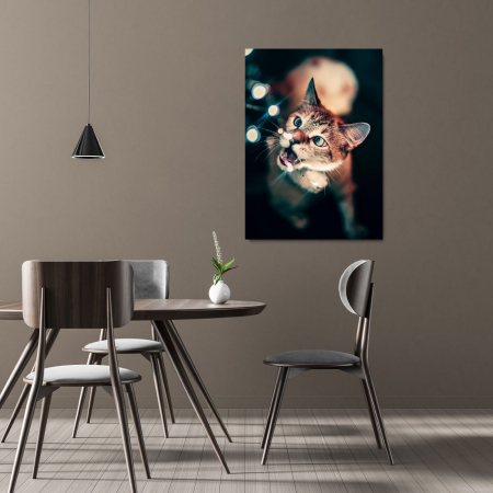 Curious Cat Portrait [1]