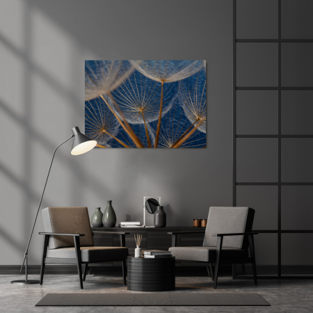 Dandelion Close Up [1]