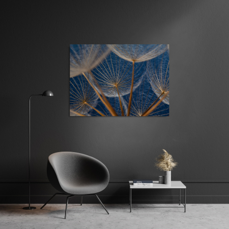 Flowers - Dandelion Close Up