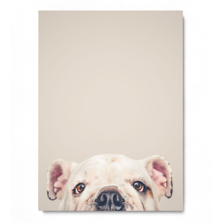 Dog Things Portrait [2]