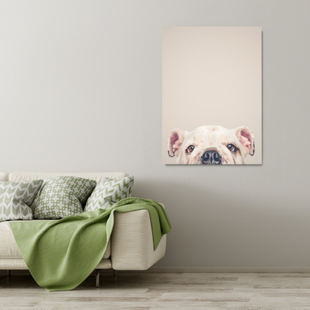 Dog Things Portrait [1]