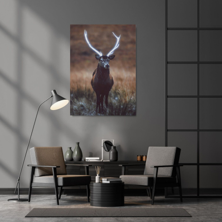 Animals - Glowing Horns Portrait
