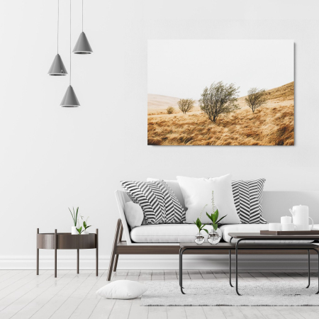 NATURE - Grassy Field