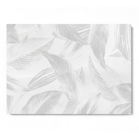 Gray Calathea Lutea Leaf [2]