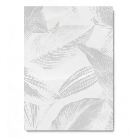 Gray Calathea Lutea Leaf [2]