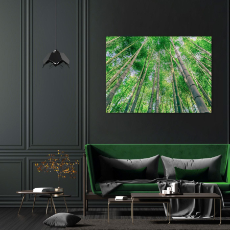 NATURE - Green Bamboo